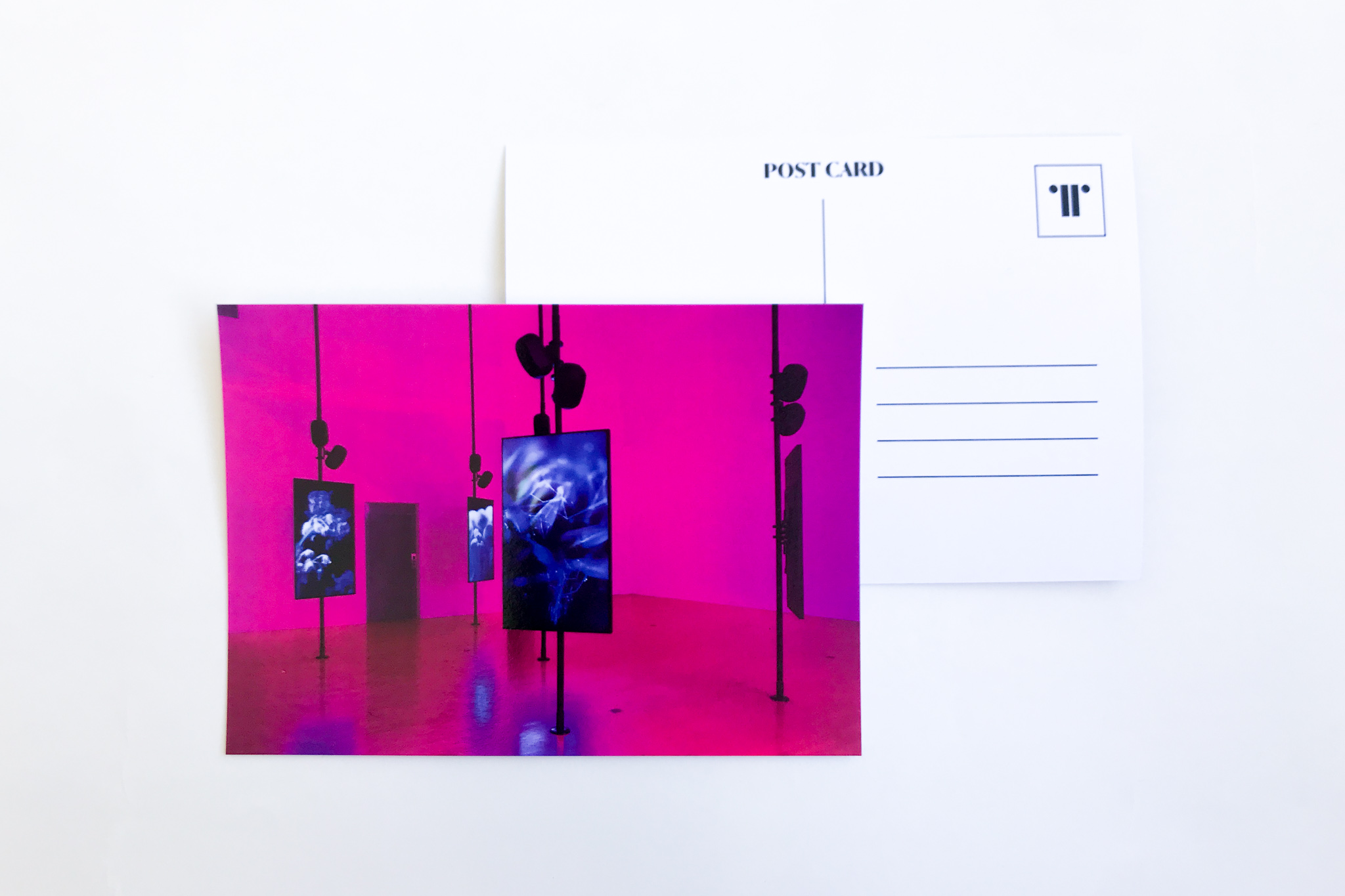 A5 postcard with image of Angelica Mesiti's 'Over the Air and Underground' installation.