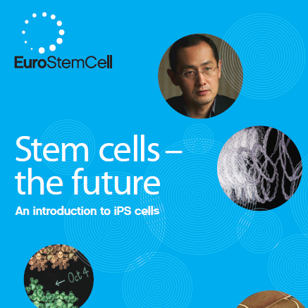 Stem cells - the future