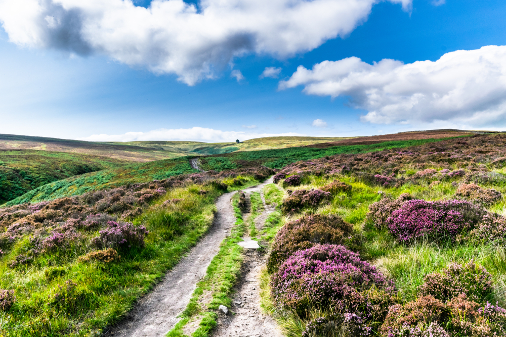 Haworth