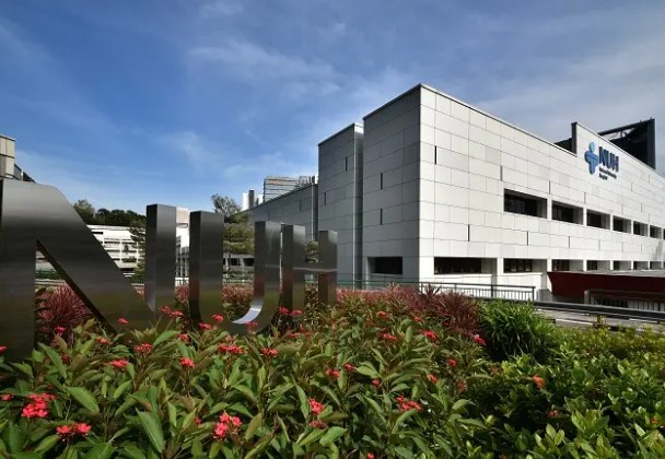 National University of Singapore
