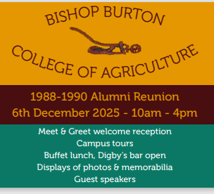 College Reunion