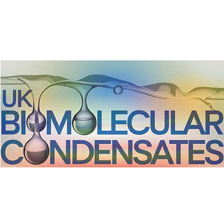 UK Biomolecular Condensate