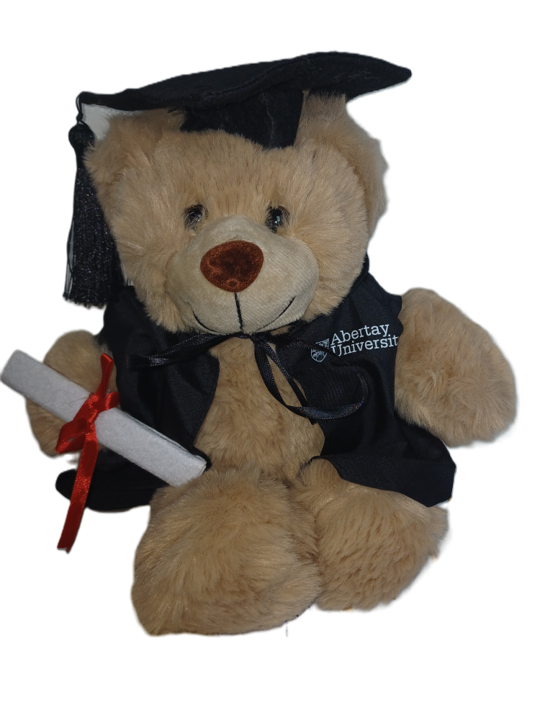 Abertay Graduation Bear