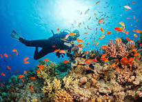 Dive accom