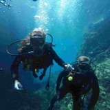 Scuba Divers