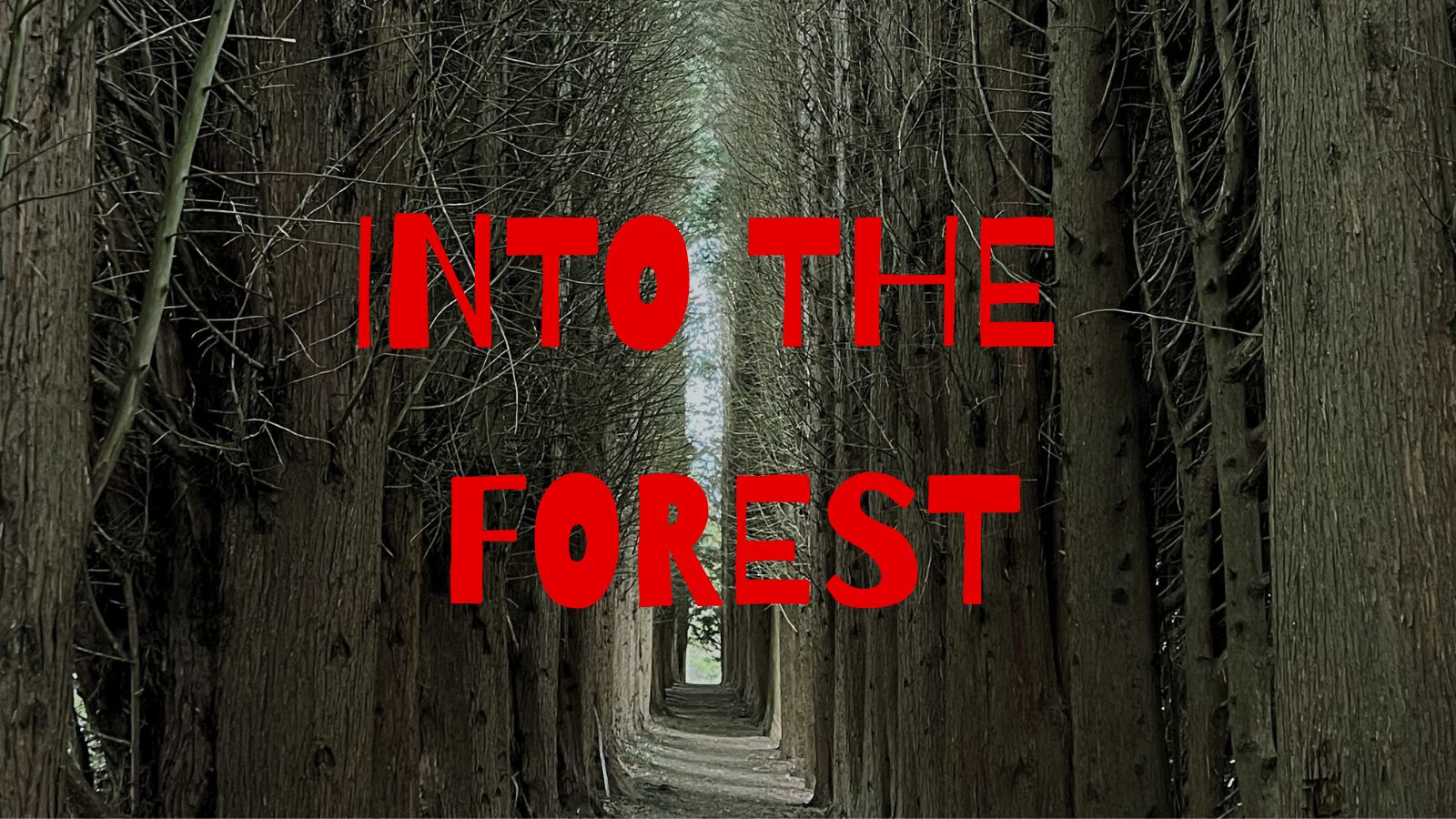 Into The Forest