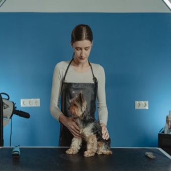 Dog Grooming Assistant