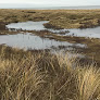 25-26 A Level Biology trip - Ainsdale Local Nature Reserve Friday 5th June