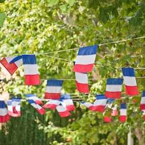 French Flags