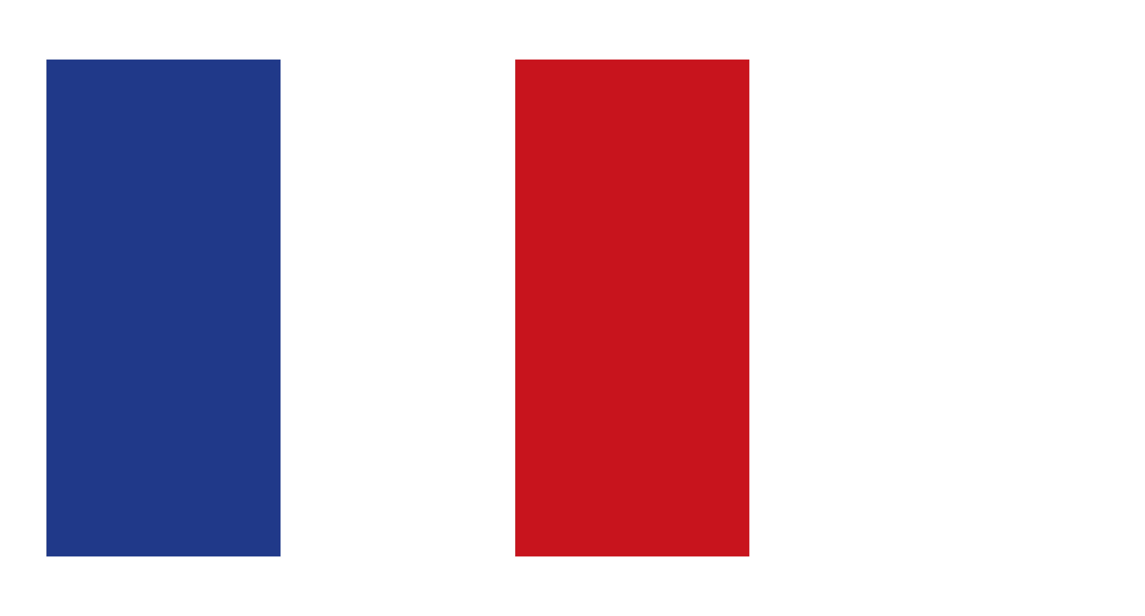 French Flags