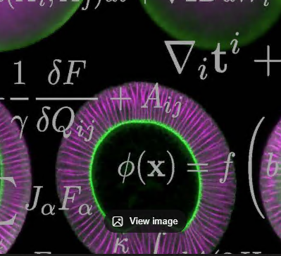 Particle Physics Laptop Deposit