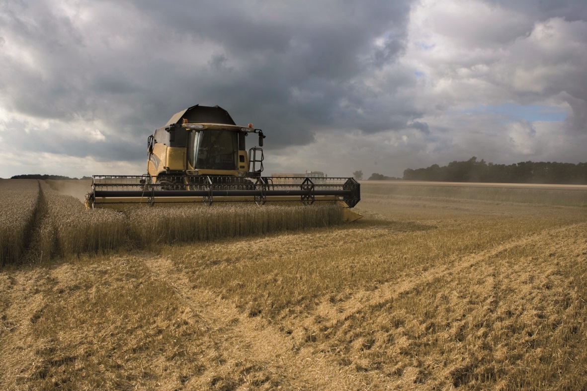 Combine Harvester