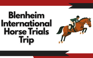 blenheim