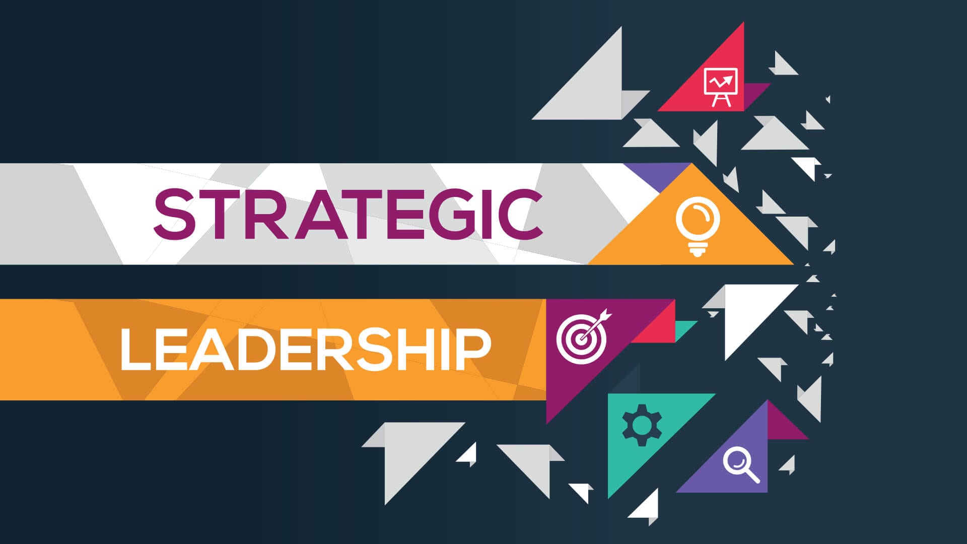 SLPO programme