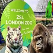 london zoo
