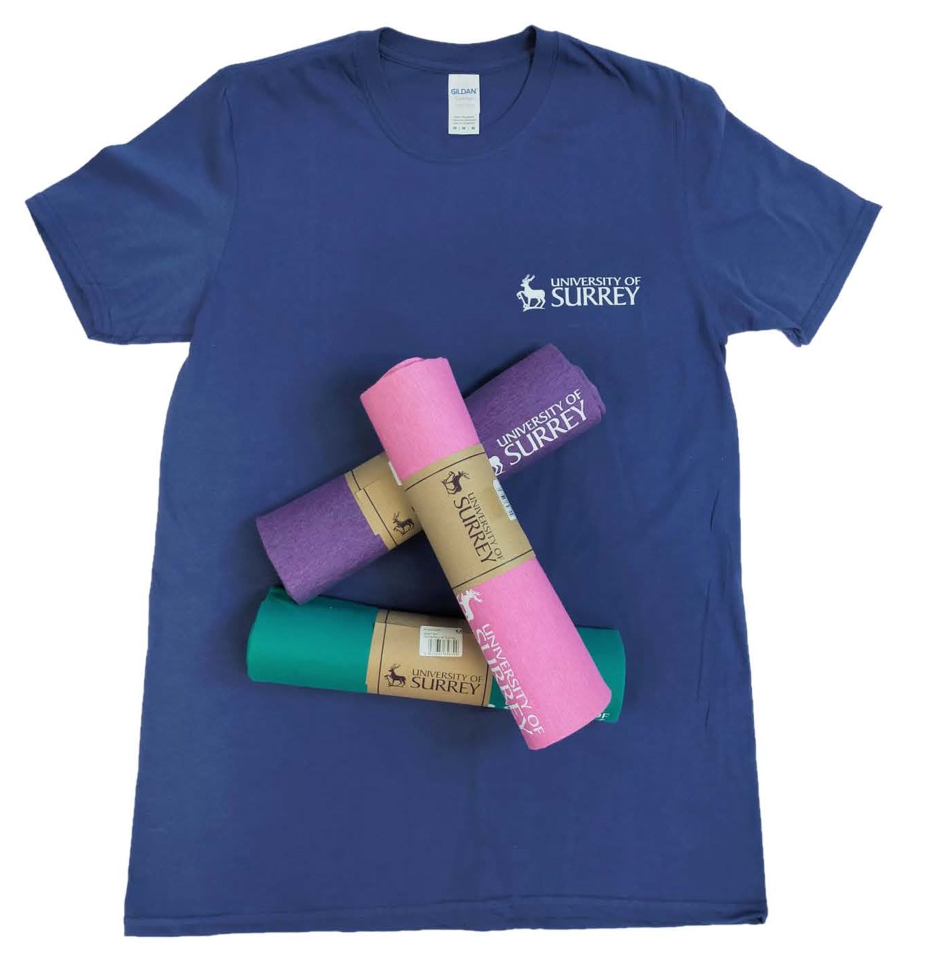 Surrey Softstyle T-Shirts