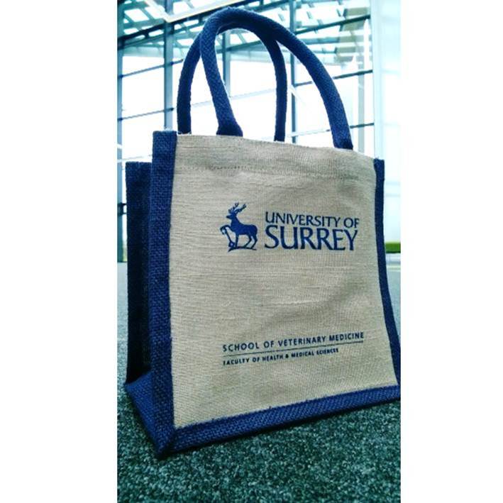 Square-front hessian bag, with blue side panels and round blue handles.  Printed with University and School logos.