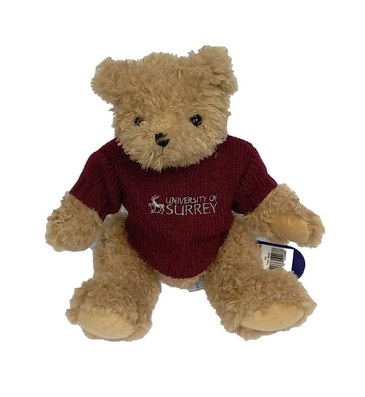 Teddy bear with Jumper