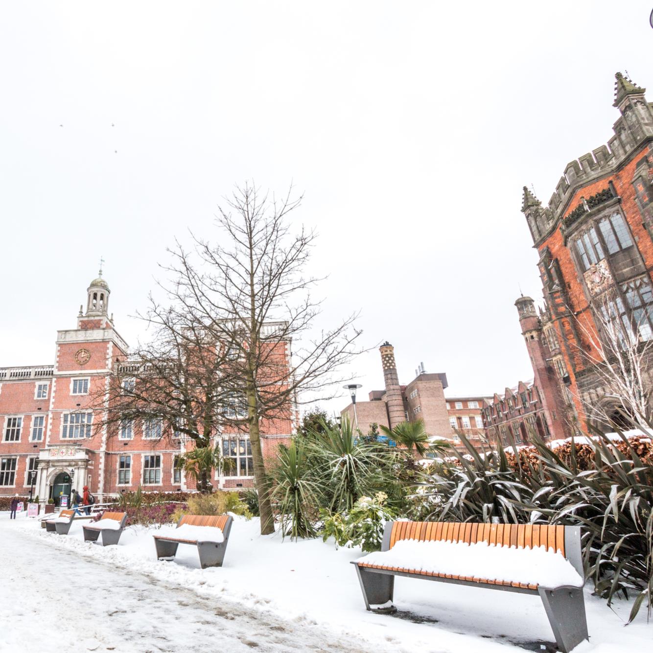 Snowy campus