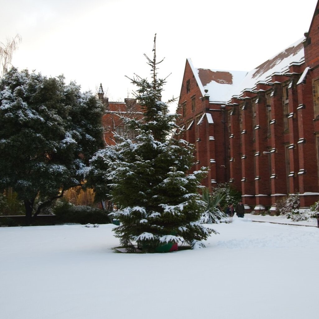 Christmas tree in snowy quad