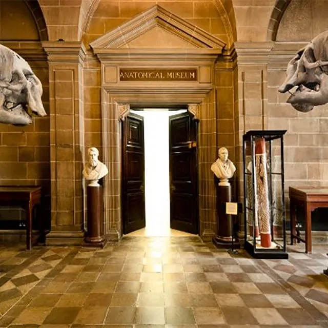 Anatomical Museum