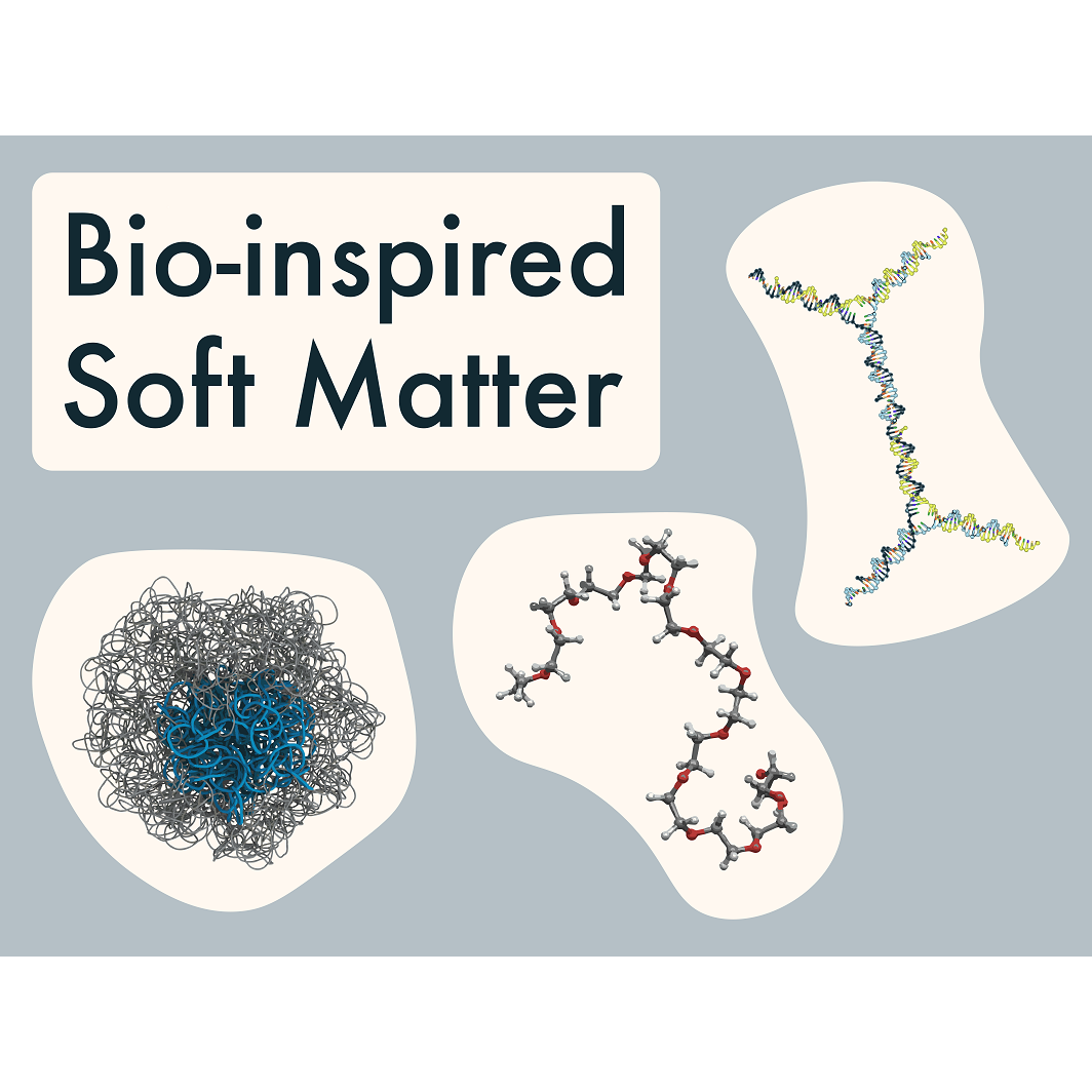 Bio-Inspired soft matter logo