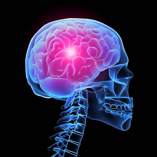 Skeleton brain imaging