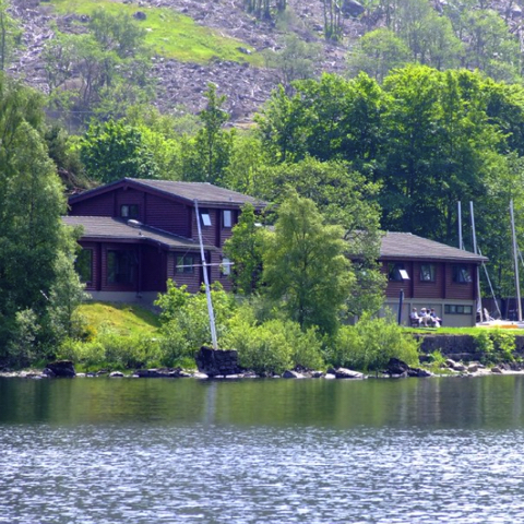 Firbush