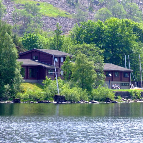 Firbush