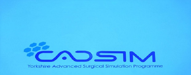 Image of CADSIM  logo