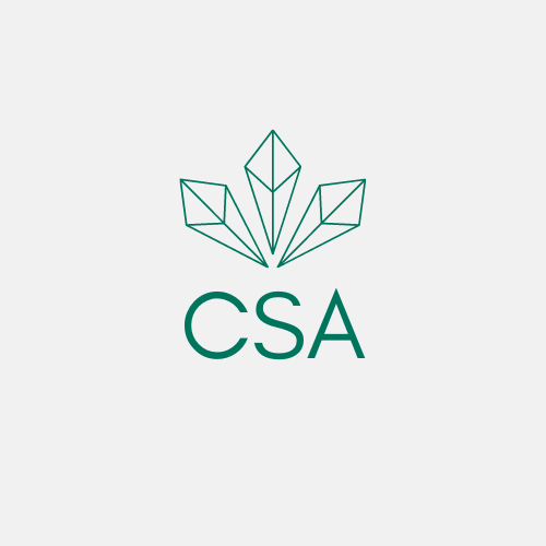 CSA2025