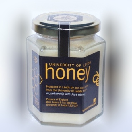 Oilseed Rape Honey Jar