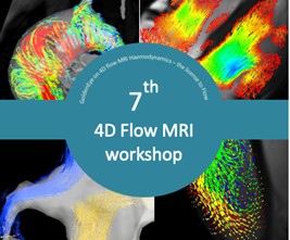 Image of 7th 4D flow MRI workshop