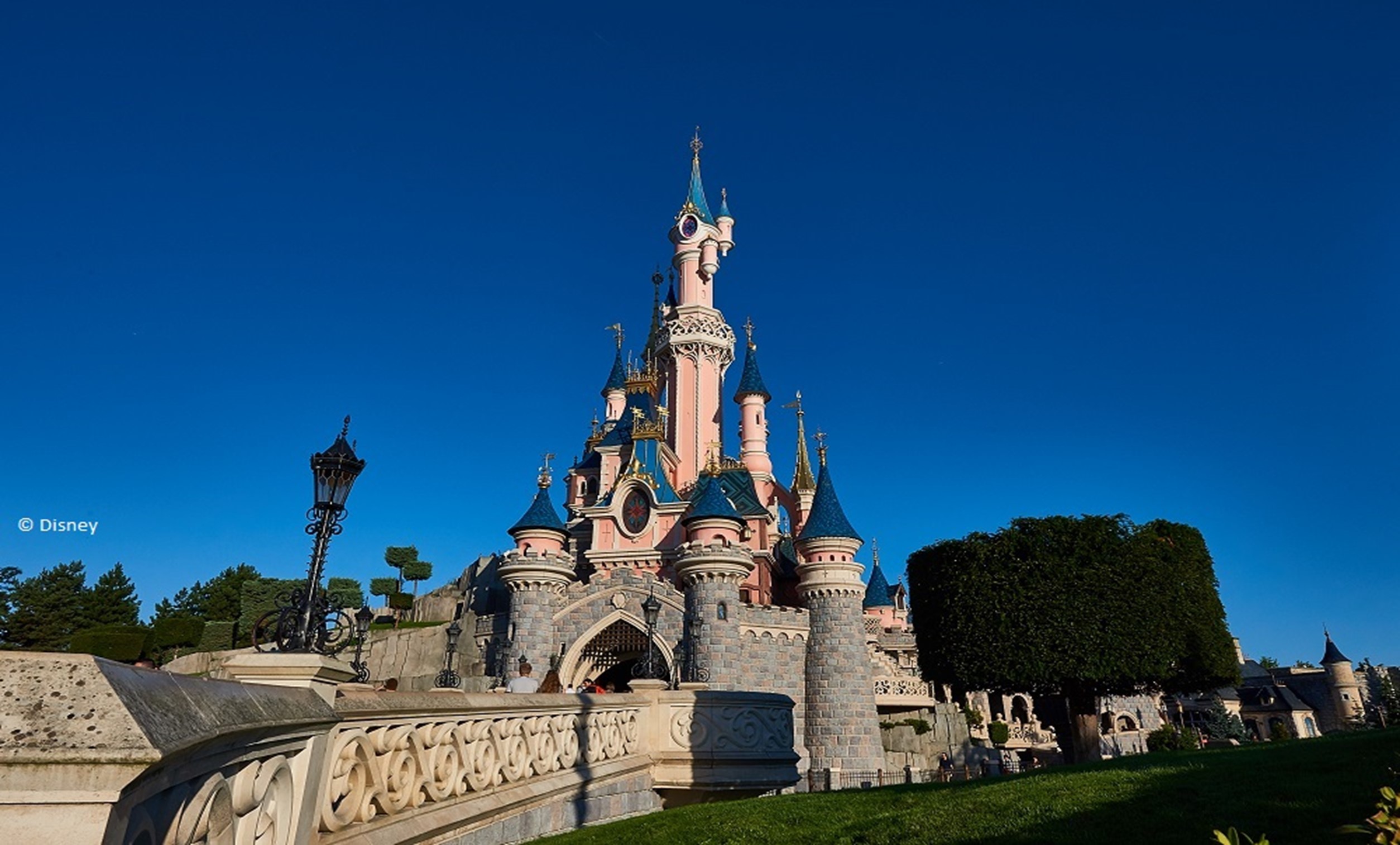 Disneyland Paris Dewsbury Health & Social Care Trip 5th Feb to 7th Feb