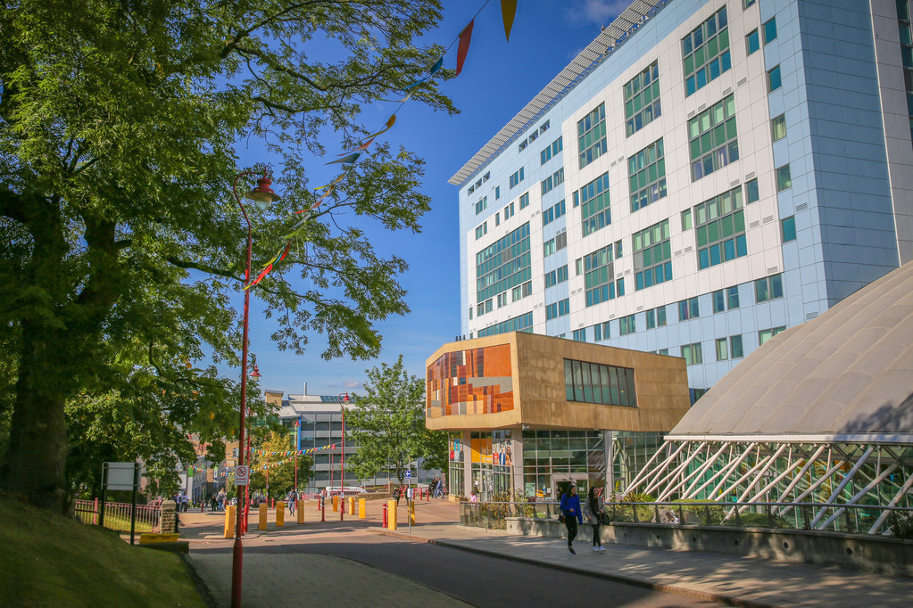 Team-Based Learning Fundamentals Training Workshops