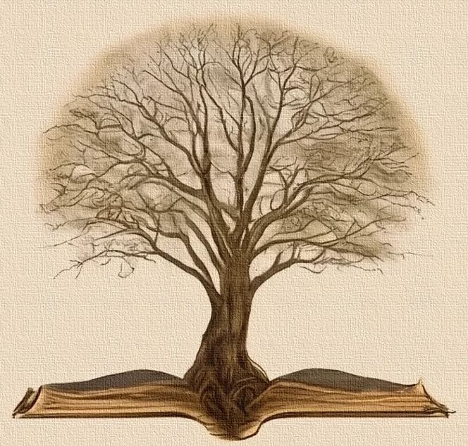 Open book with a protruding tree