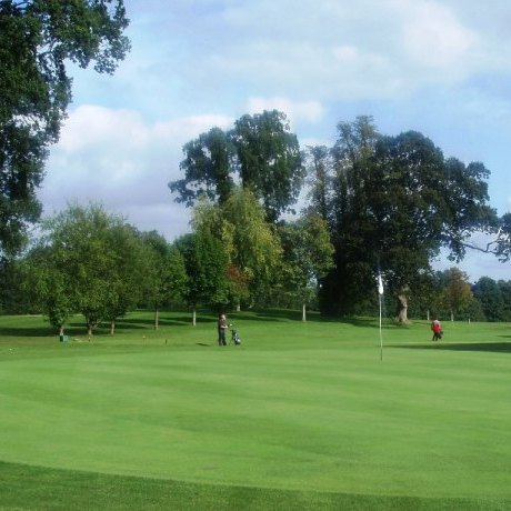 golf green surrounded by trees