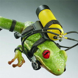 Model of frog wearing scuba diving kit