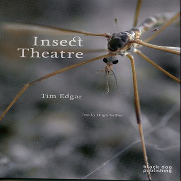 Insect Theatre