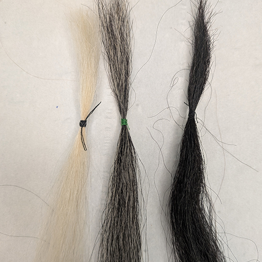 BA Make-up - Yak Hair