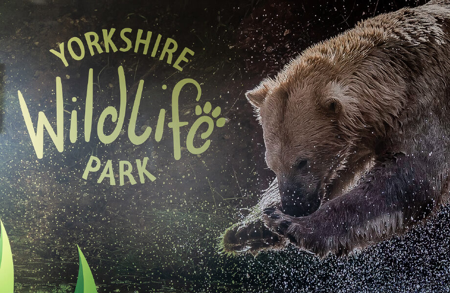 Yorkshire Wildlife Park