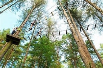 Go Ape