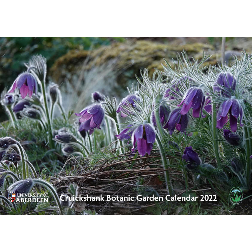 Cruickshank Botanic Garden Calendar 2022