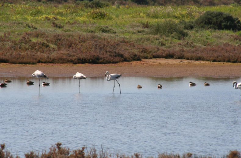 Algarve2027