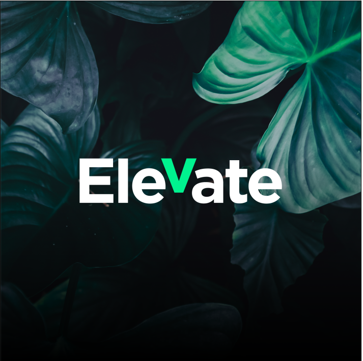 elevate