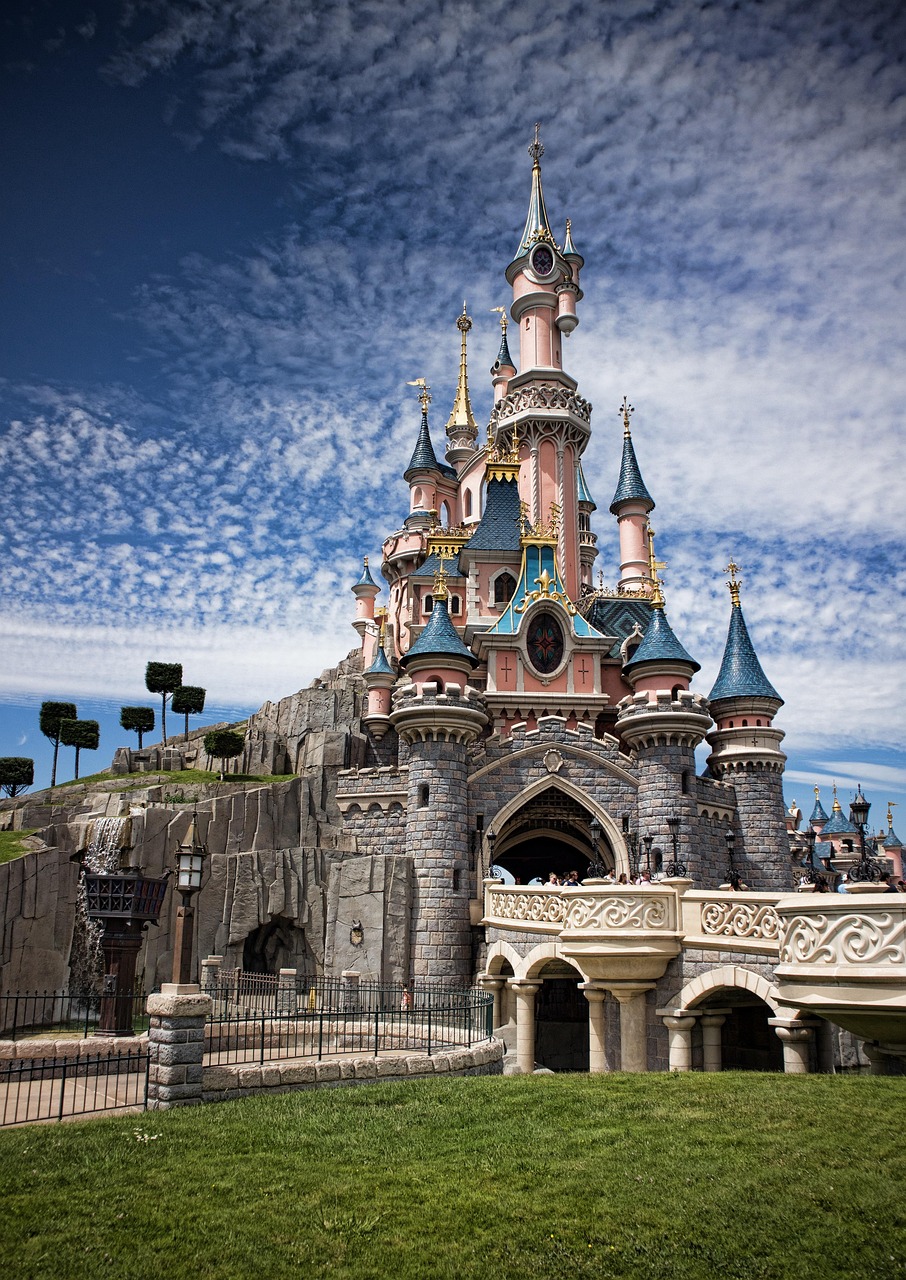 Disneyland Paris  Health & Social Care Conference 15th -18th Nov 2026