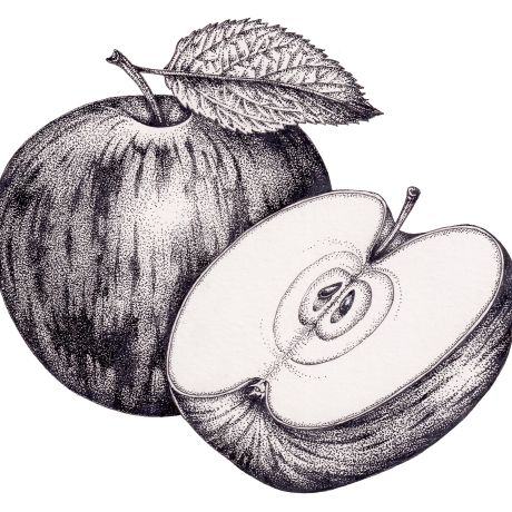 Pen and ink: Stippling workshop