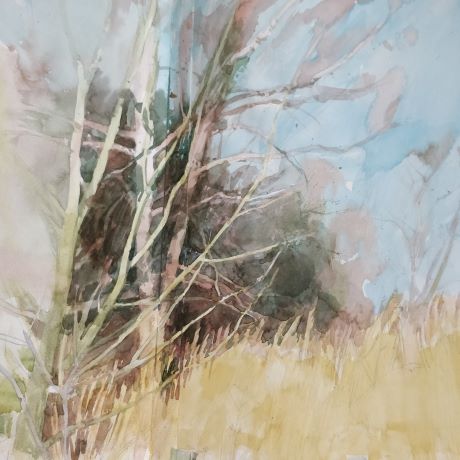 Beginners' watercolour