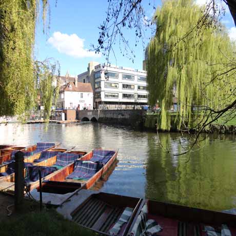 The University Centre