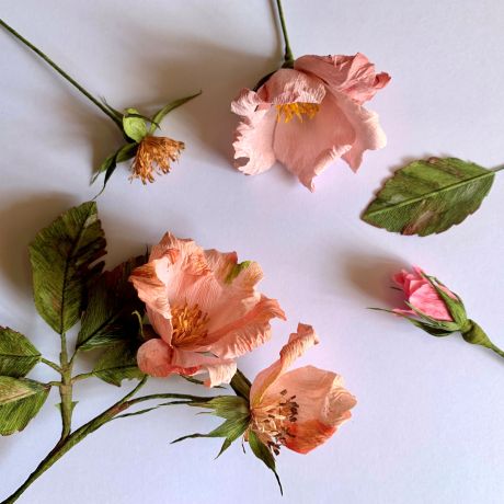 Paper flowers: Wild roses